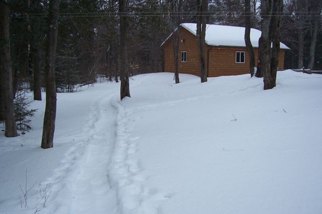 snowshoeing  on property