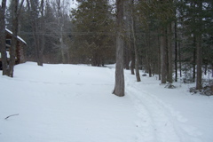 Ski/snowshoe trail
