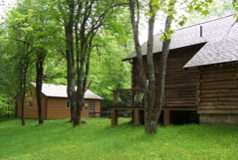 Rear of Cabin & Garage